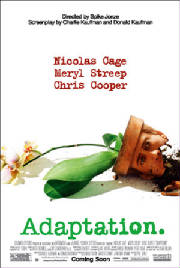 adaptation.jpg